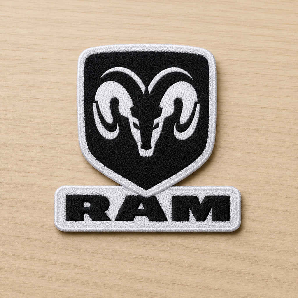 RAM – 231